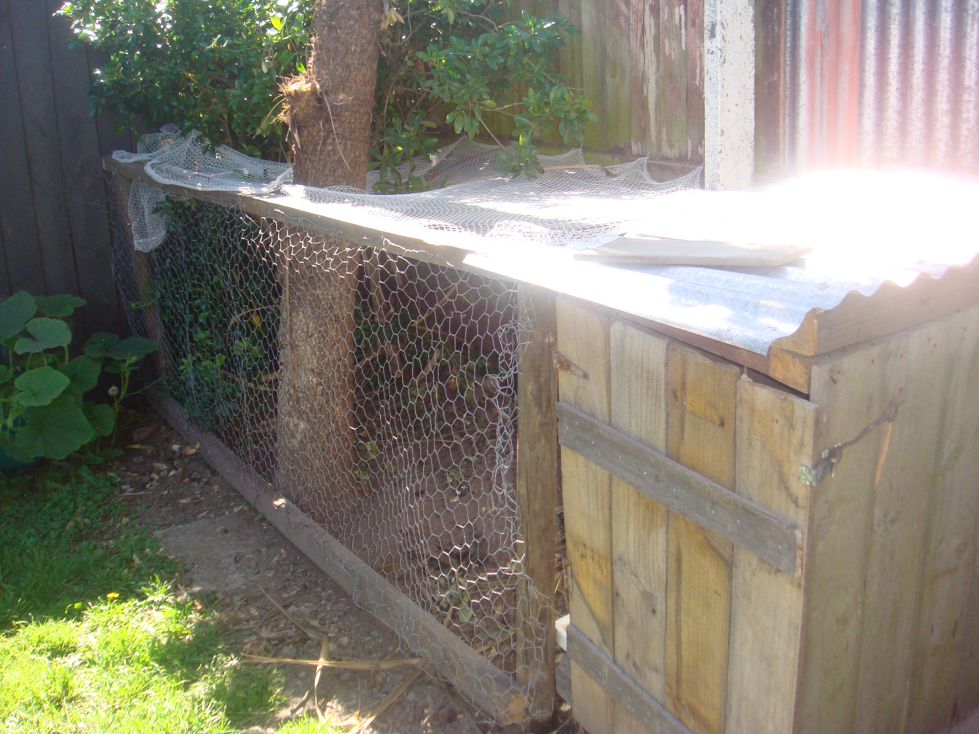 Backyard Antics: Building a Chicken Coop - Part 1