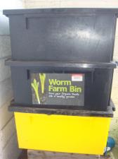 Worm farming bins